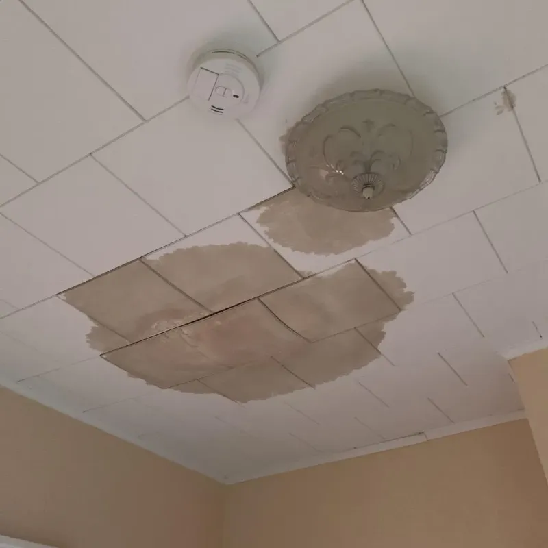 Ceiling Water Damage Repair in Garden City, ID
