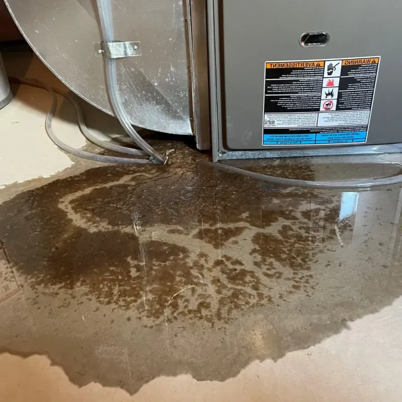 Pipe Burst and Leak Restoration in Garden City, ID