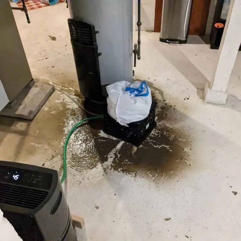 Sewage Backup Cleanup Service in Garden City, ID